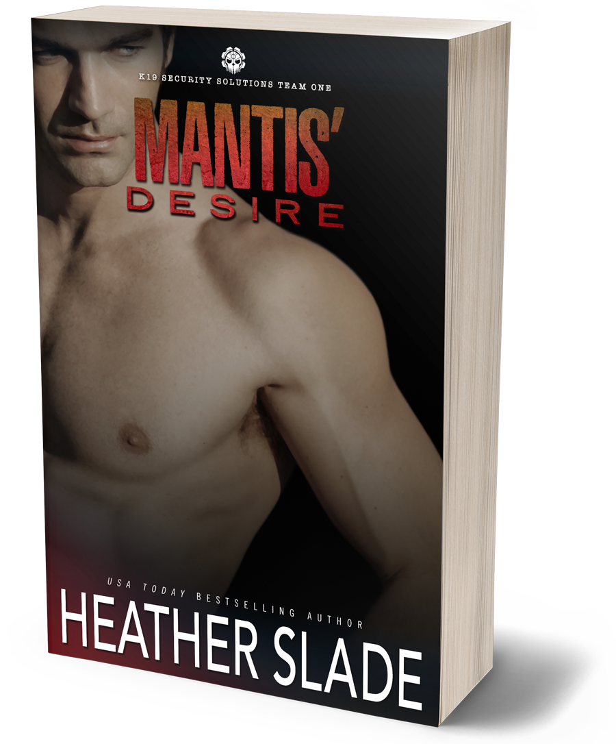 K19 Security Solutions Team One: Mantis' Desire Paperback Sexy Cover