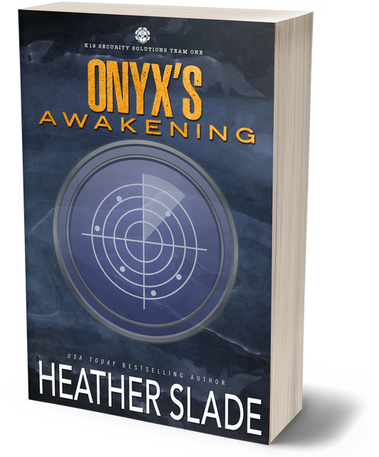 K19 Security Solutions Team Two: Onyx's Awakening Paperback Object Cover