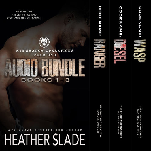 K19 Shadow Operations Team One Audiobook Bundle