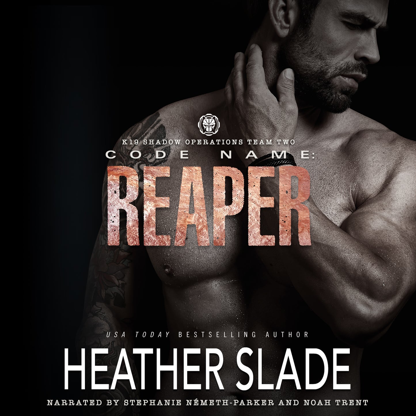 K19 Allied Intelligence Team Two: Code Name: Reaper Audiobook